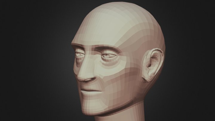 portrait head base mesh 3D Model