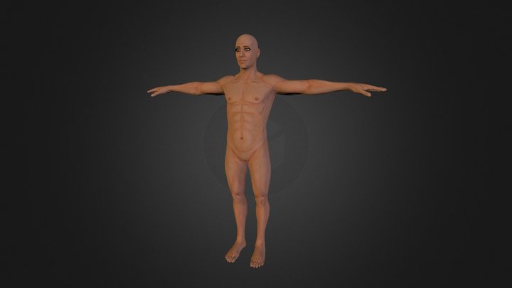 UniHuman Male 3D Model