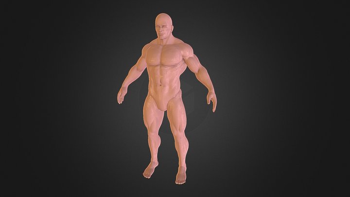 Male Character 3D Model