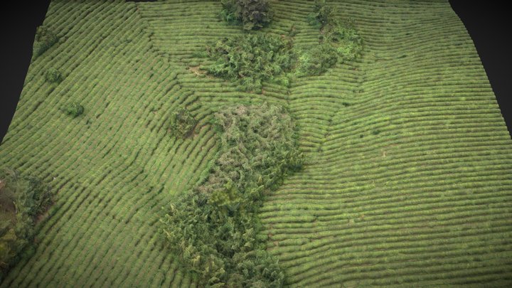 Tea garden – Kostenloses 3D-Modell STL