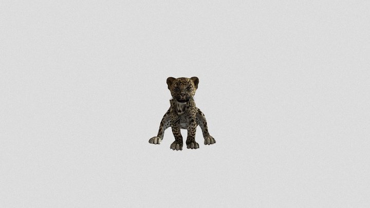 Leopard_Yconhuesos 3D Model
