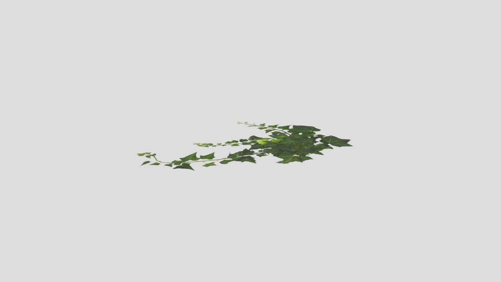 Building Decor Ivy 001