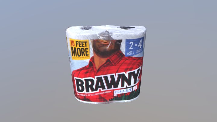 Brawny_3.4.2019_Outside_Recap 3D Model