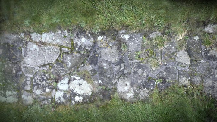 Pavement 3D Model