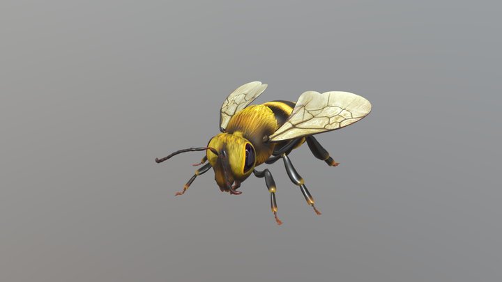 Bee 3D Model