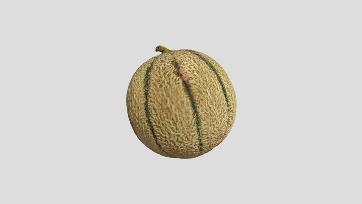 Melon 3D Model