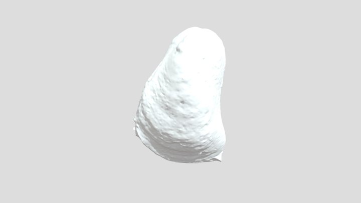 ZHB4 3D Model