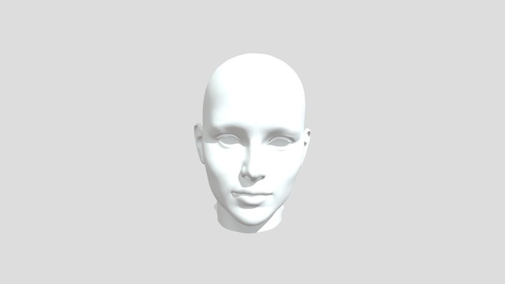 *v17 Head 3D Model