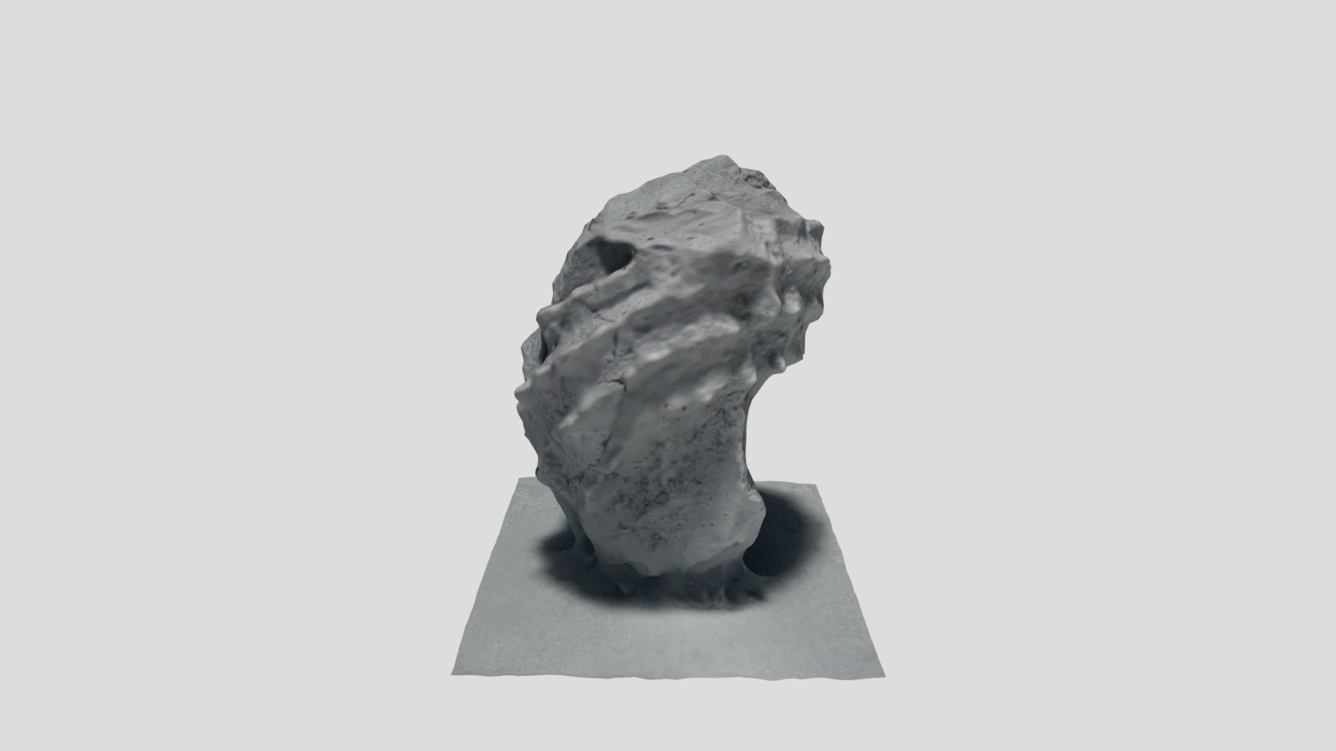 𝘎𝘺𝘳𝘰𝘯𝘦𝘮𝘢 sp.