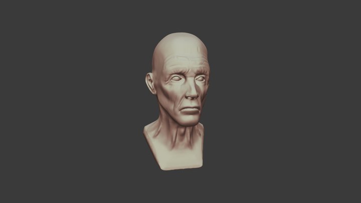 Old Man - Face Study 3D Model