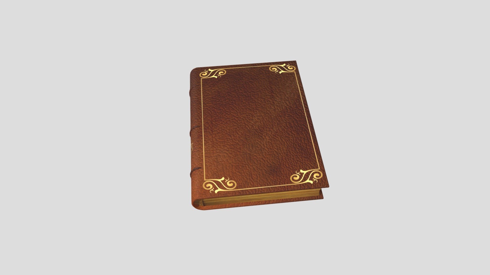 Vintage Leather Book