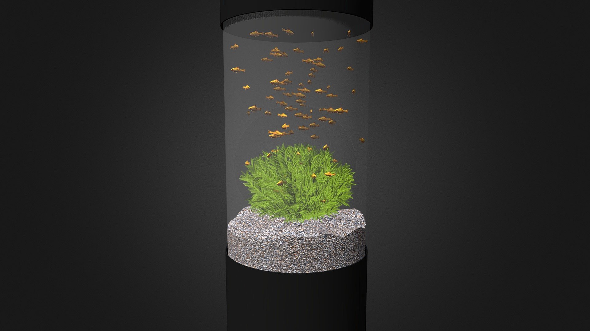 Cylindrical Aquarium Buy Royalty Free 3D model by cgaxis [2a37db1
