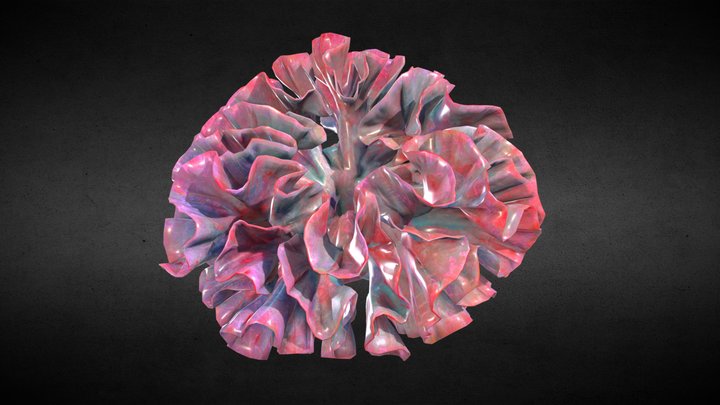 Coral – Modello 3D gratuito STL
