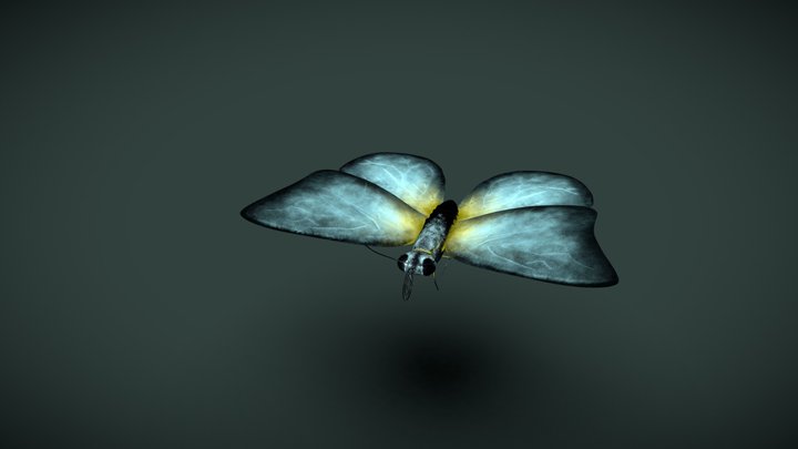 luminous butterfly 3D Model