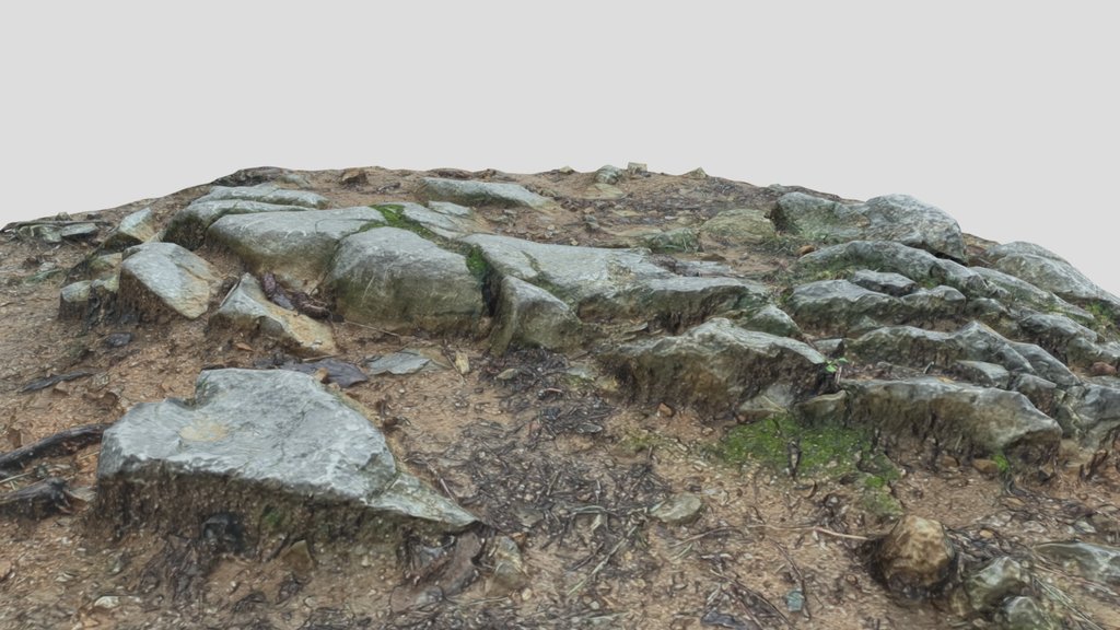 Photogrammetry of rocky surface