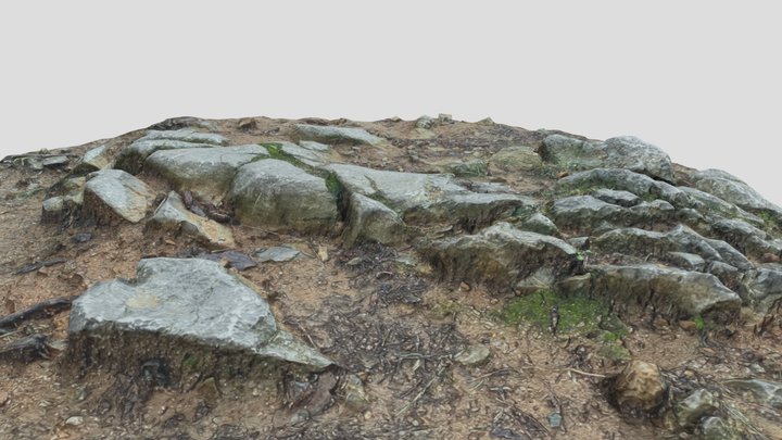 Photogrammetry of rocky surface 3D Model
