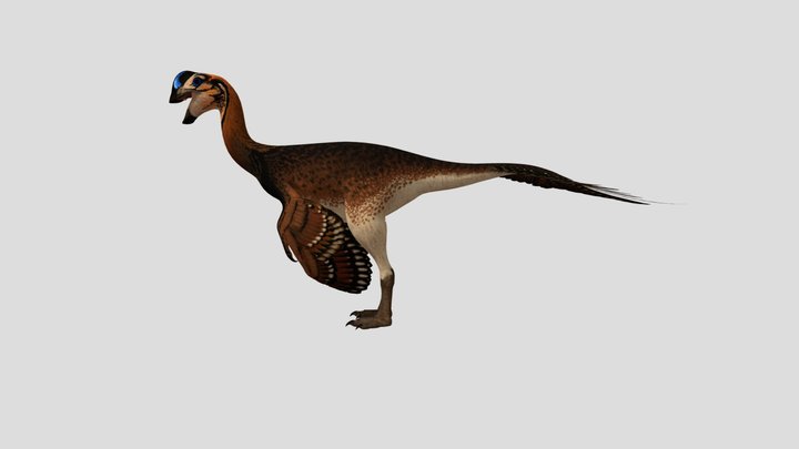 Oviraptor Male Accurate Rigged (Helvine skin) – Modello 3D gratuito STL