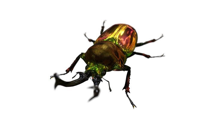 Stagbeetle 3D models - Sketchfab