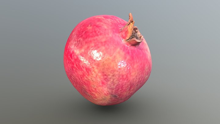 Pomegranate - Melograno 3D Model