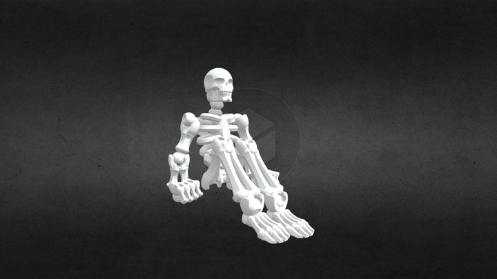 Skeleton (skelley) 3D Model