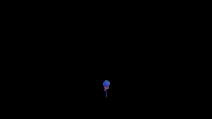 agua viva 3D Model
