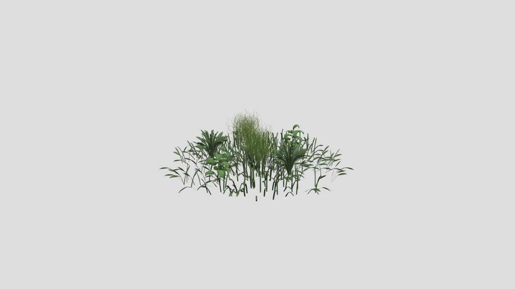 Grass
