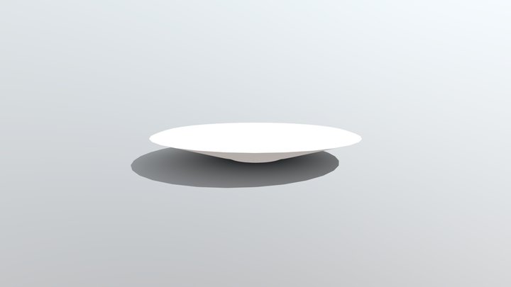 Plate 3D Model