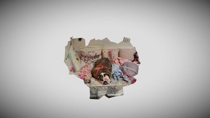 ROCKY 3D Model