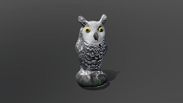 Owl Test 3D Model
