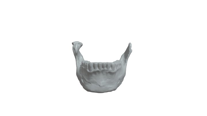 Mandible 2 3D Model