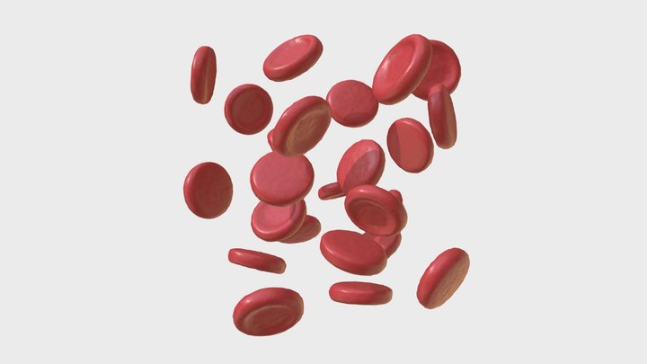Red blood cells 3D Model