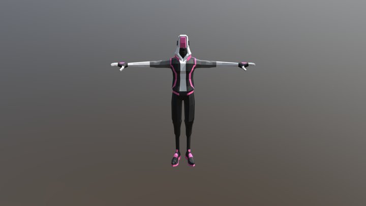 Synchronizer - Player 3D Model
