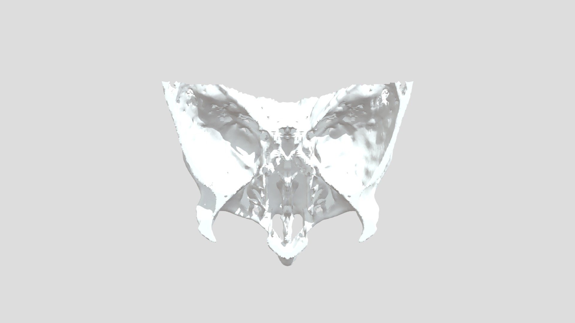 Mirror Jaw3