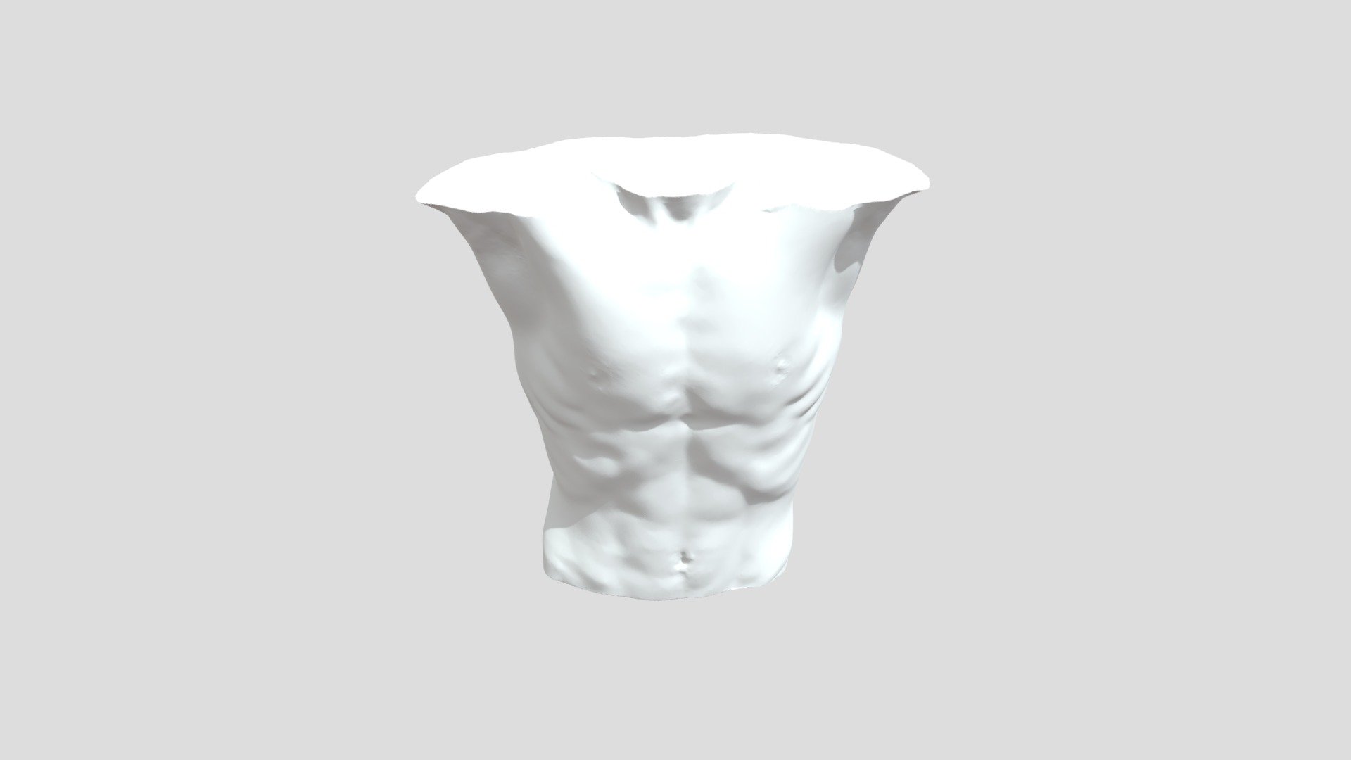 Torso - Download Free 3D model by 1-3D.com [2a743df] - Sketchfab