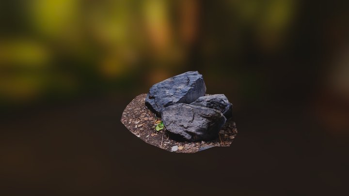 Retop Scan coal 3D Model