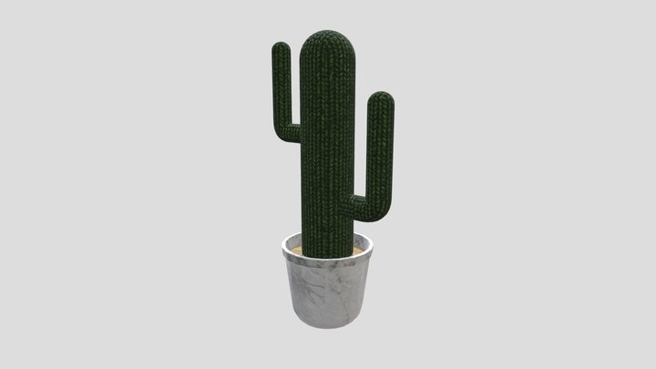 Cactus 3D Model