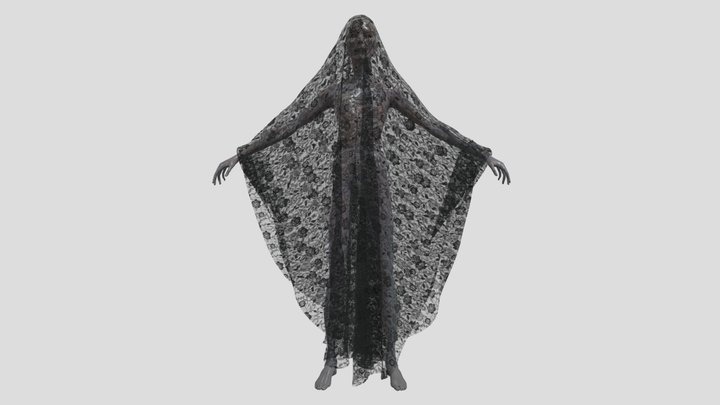 Thinwoman veil 3D Model