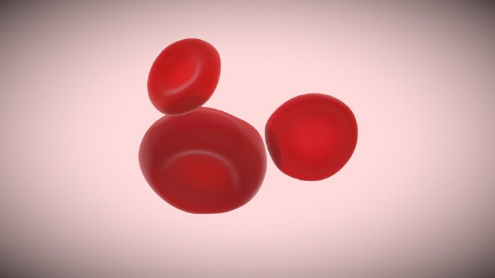 Microcytes 3D Model