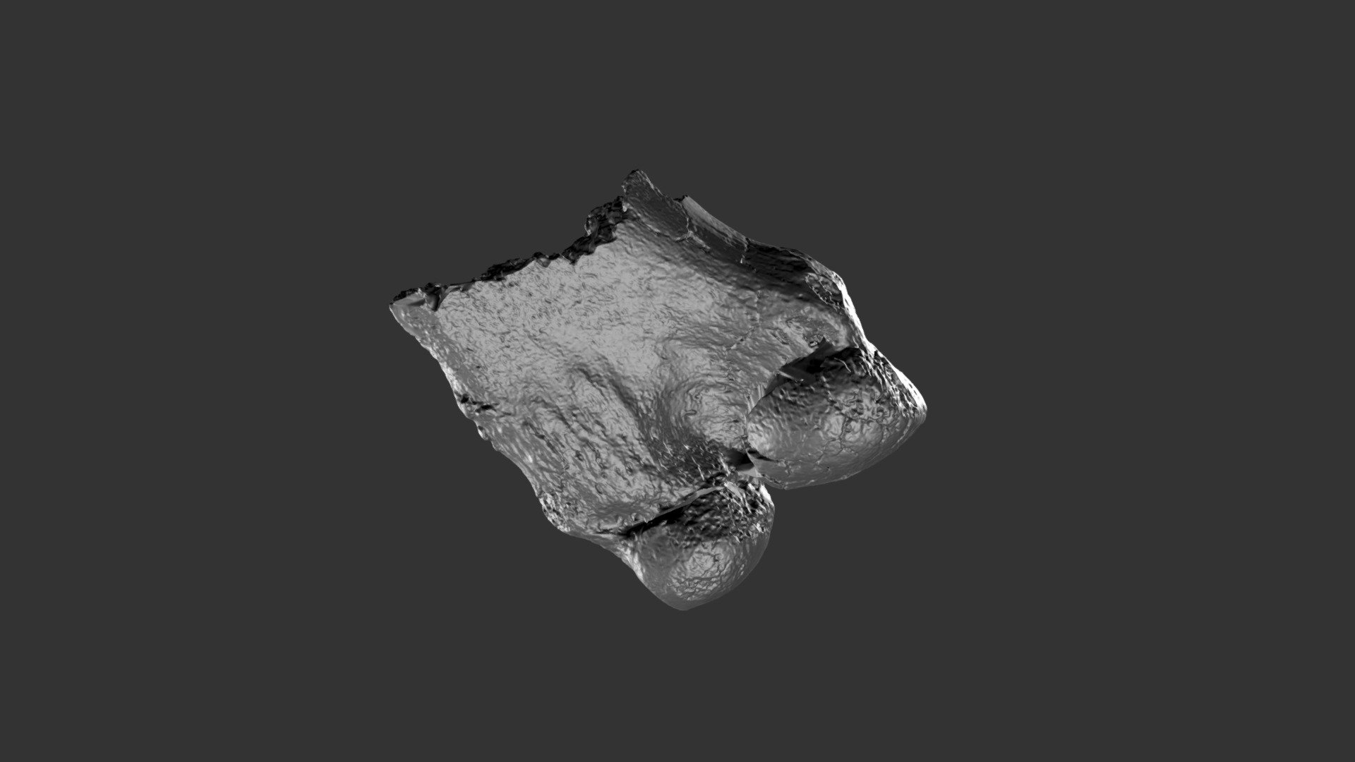 Mammut pacificus Distal Left Femur