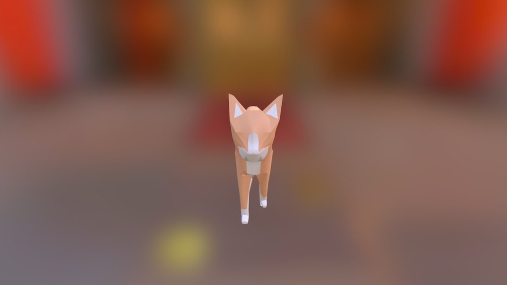 Curious Cat