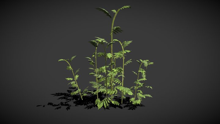grass 04 3D Model