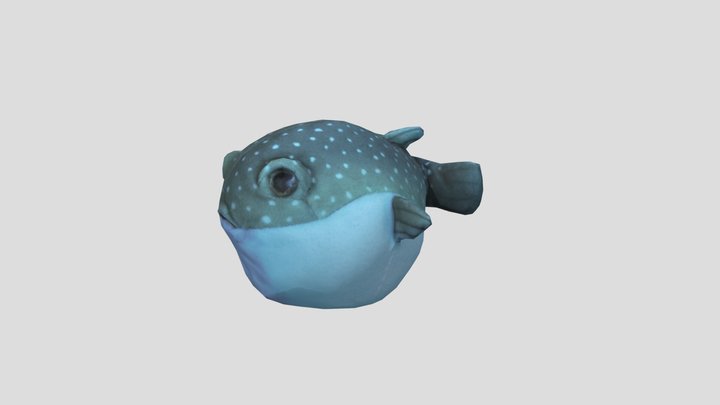 Flattinger Pufferfish 3D Model