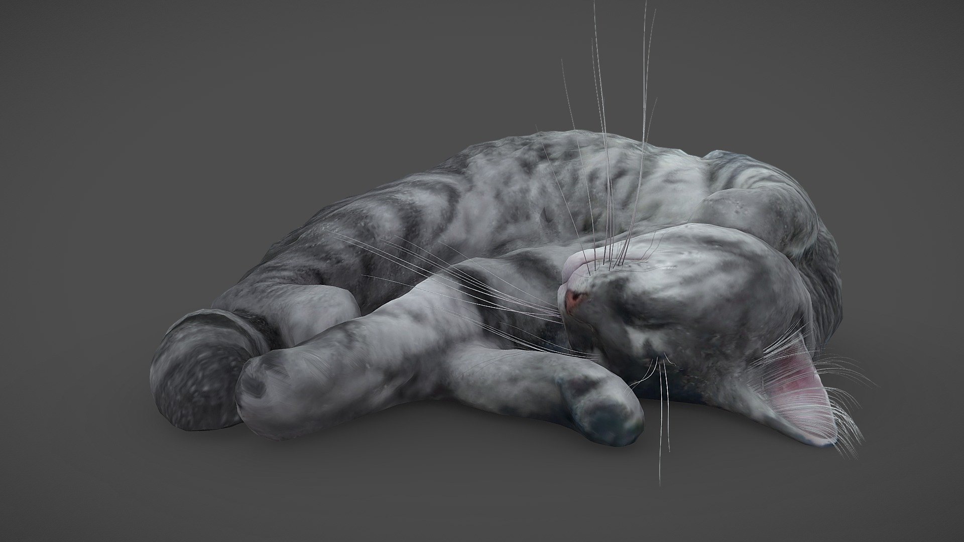  Sleeping  CAT  Buy Royalty Free  3D  model  by Andrey 