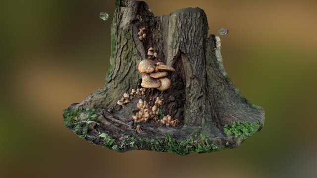 Mushroommesh 3D Model