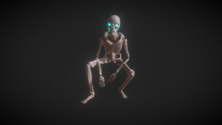 Skeleton 3D Model