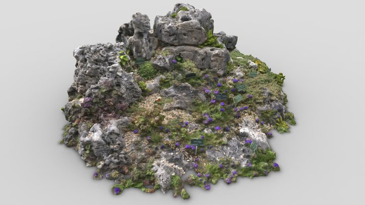 Plant Island – Modello 3D gratuito STL