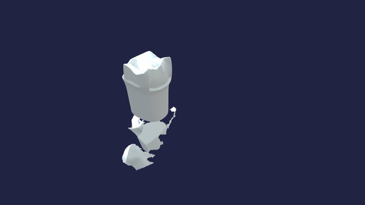 PFM #14 - 4 3D Model
