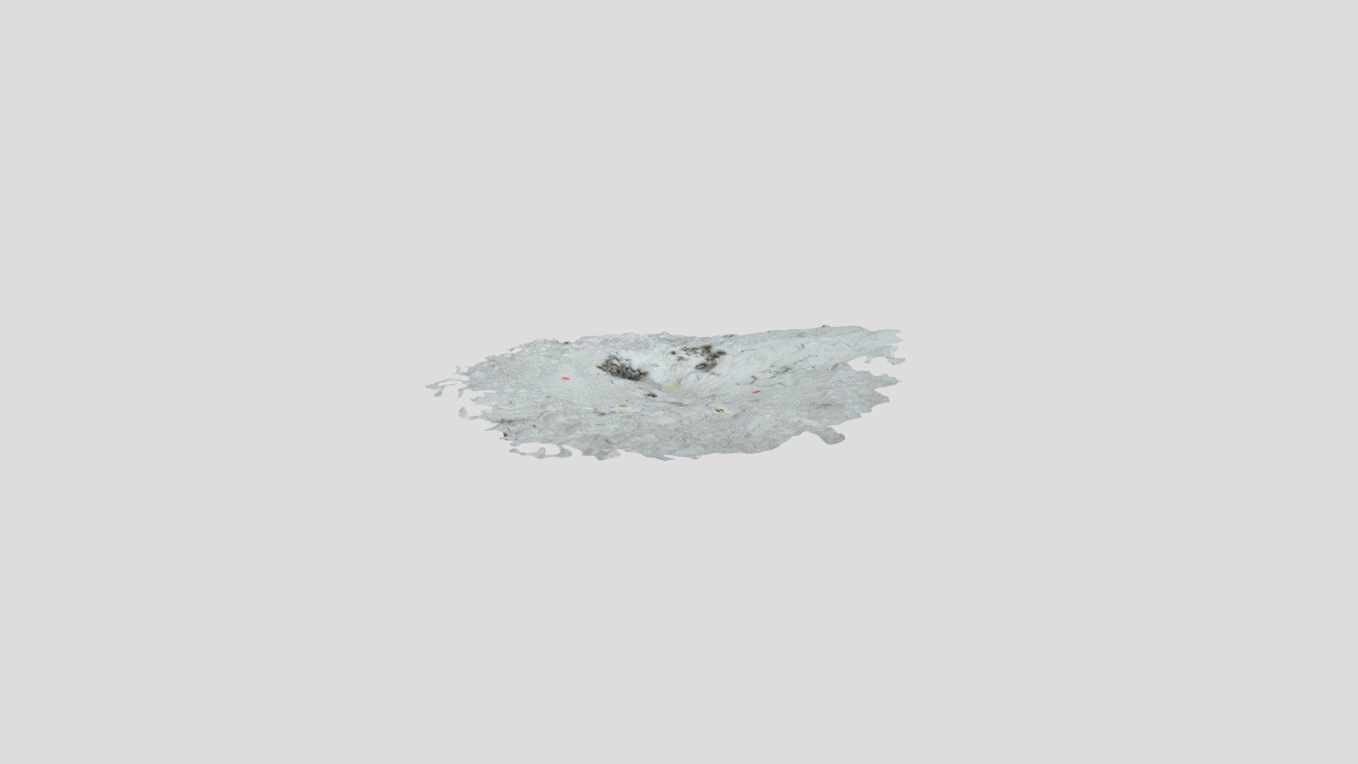 Nest 25_1