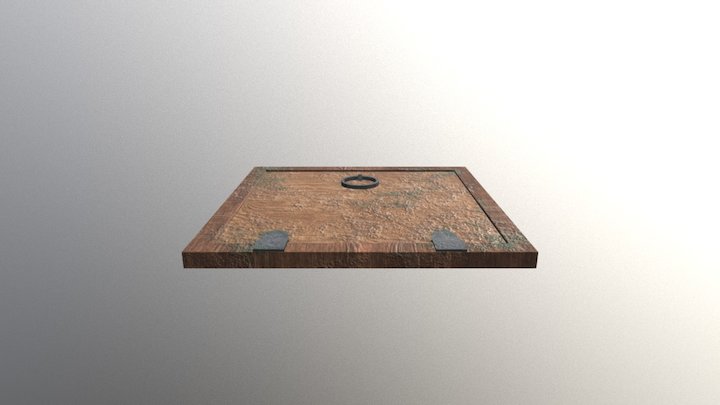 Trap Door 3D Model