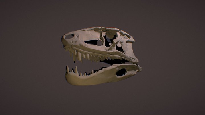 Postosuchus-low 3D Model